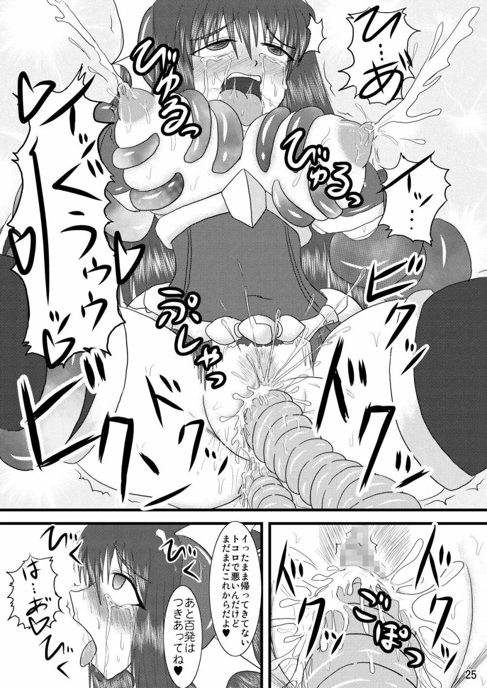 煌盾装騎エルセイン Vol.2 「Nightmare Agitator」 - page25