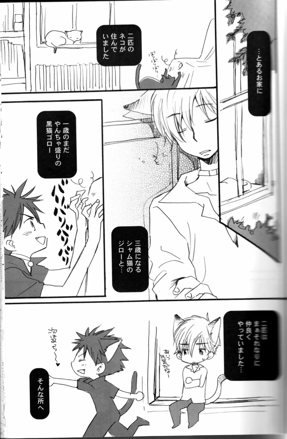 Peach Drop- Arco Iris - page3
