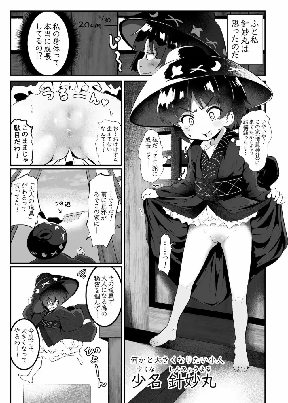 針妙丸がオナホに間違われる本 - page3