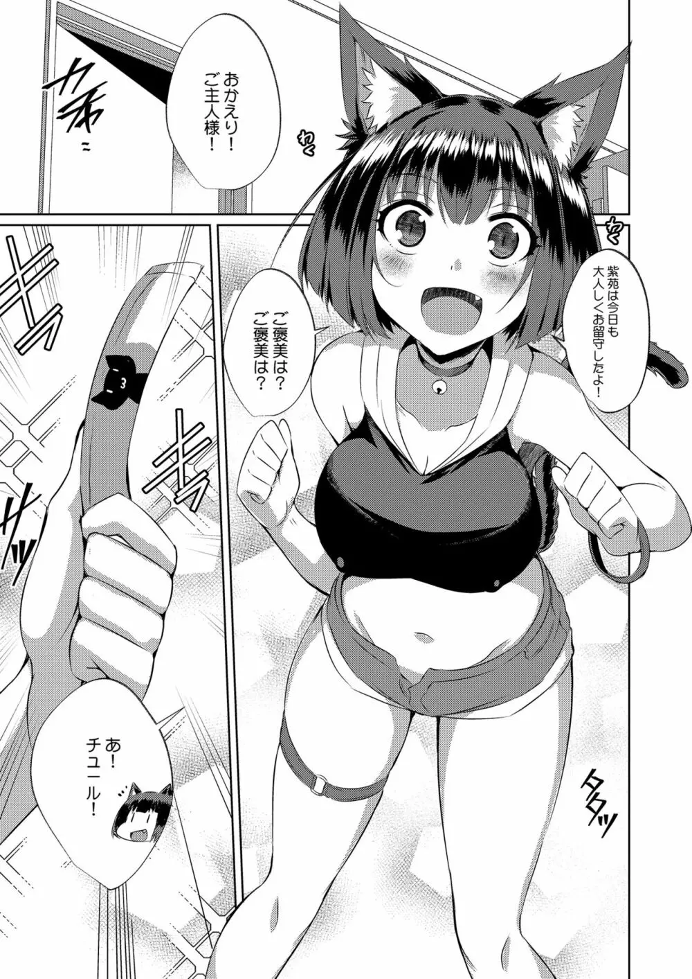 続 紫苑の花 - page19