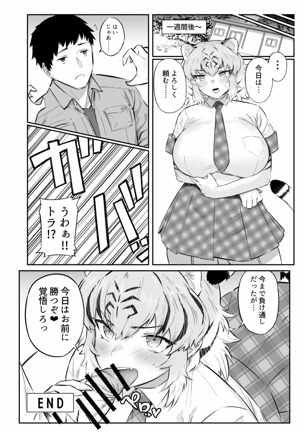トラはふれあい修業中 - page14