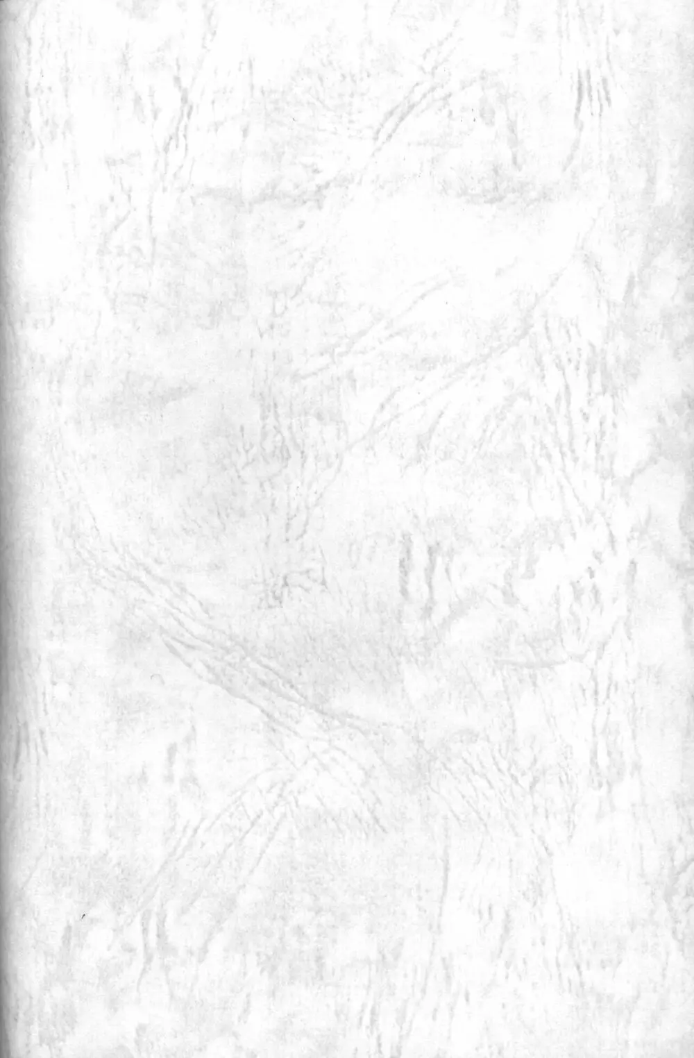 PRIMALITA - page2