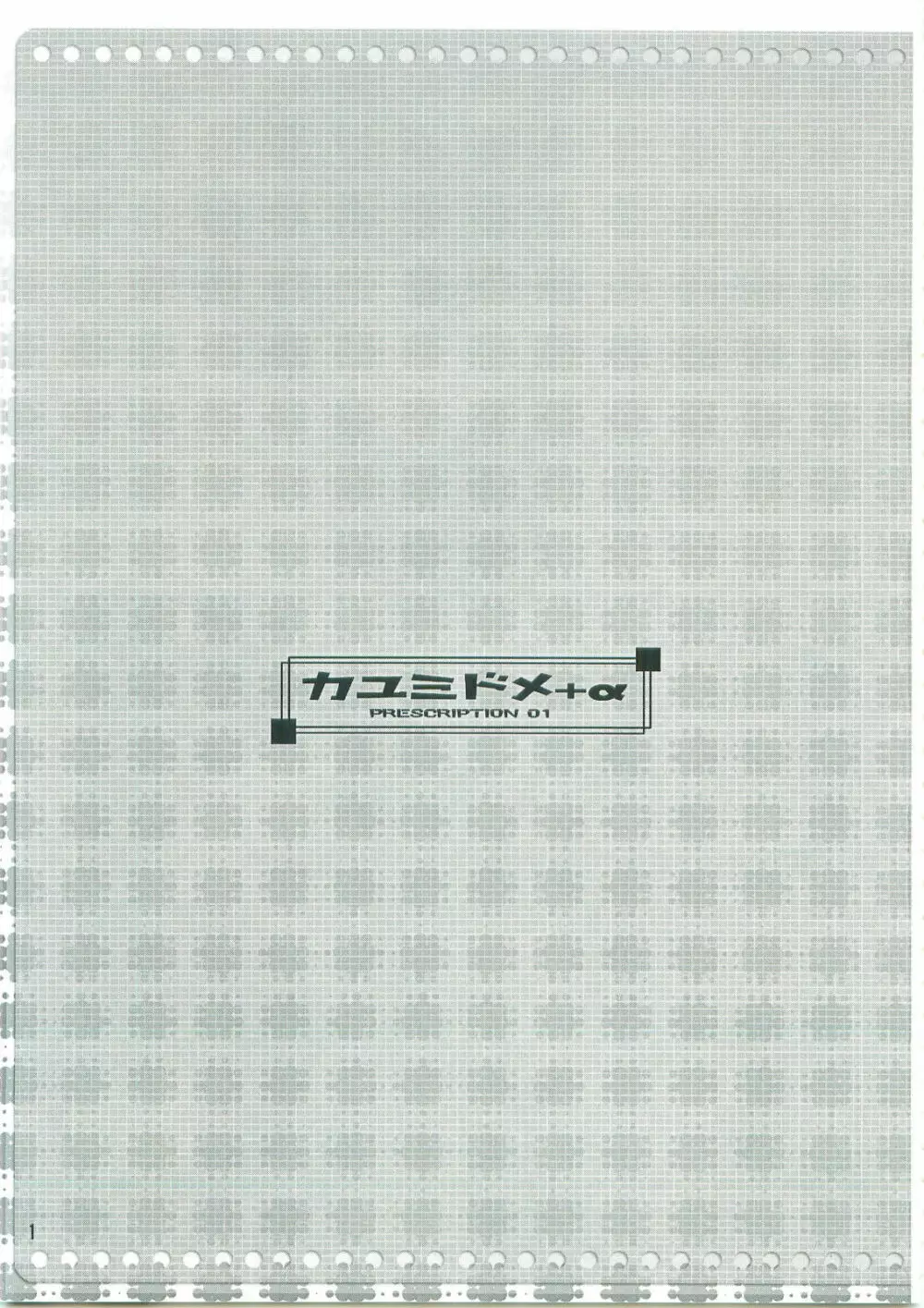 カユミドメ+ α - page2