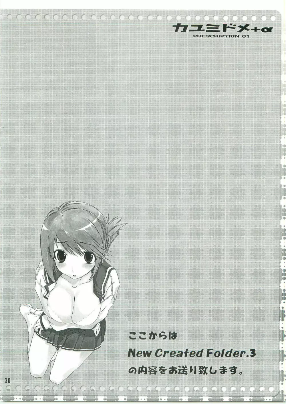 カユミドメ+ α - page31