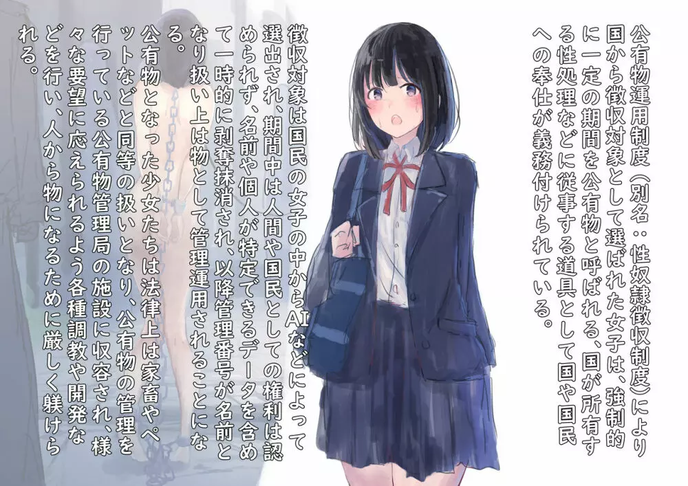 公有物少女 ~ 国の所有物として人権を剥奪され物として扱われる女の子の話 ~ - page2