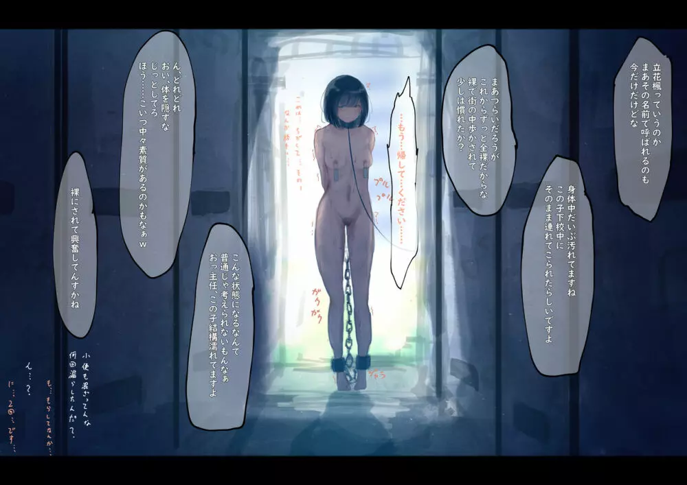 公有物少女 ~ 国の所有物として人権を剥奪され物として扱われる女の子の話 ~ - page26
