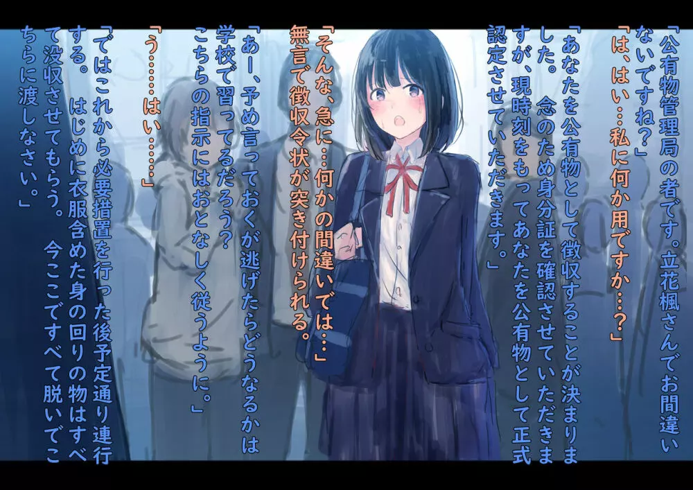 公有物少女 ~ 国の所有物として人権を剥奪され物として扱われる女の子の話 ~ - page3