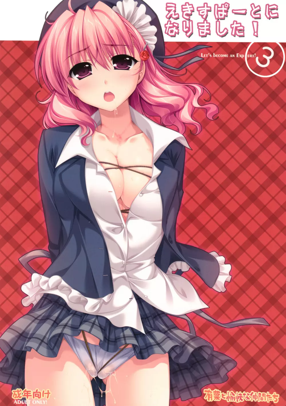 エキスパートになりました!3