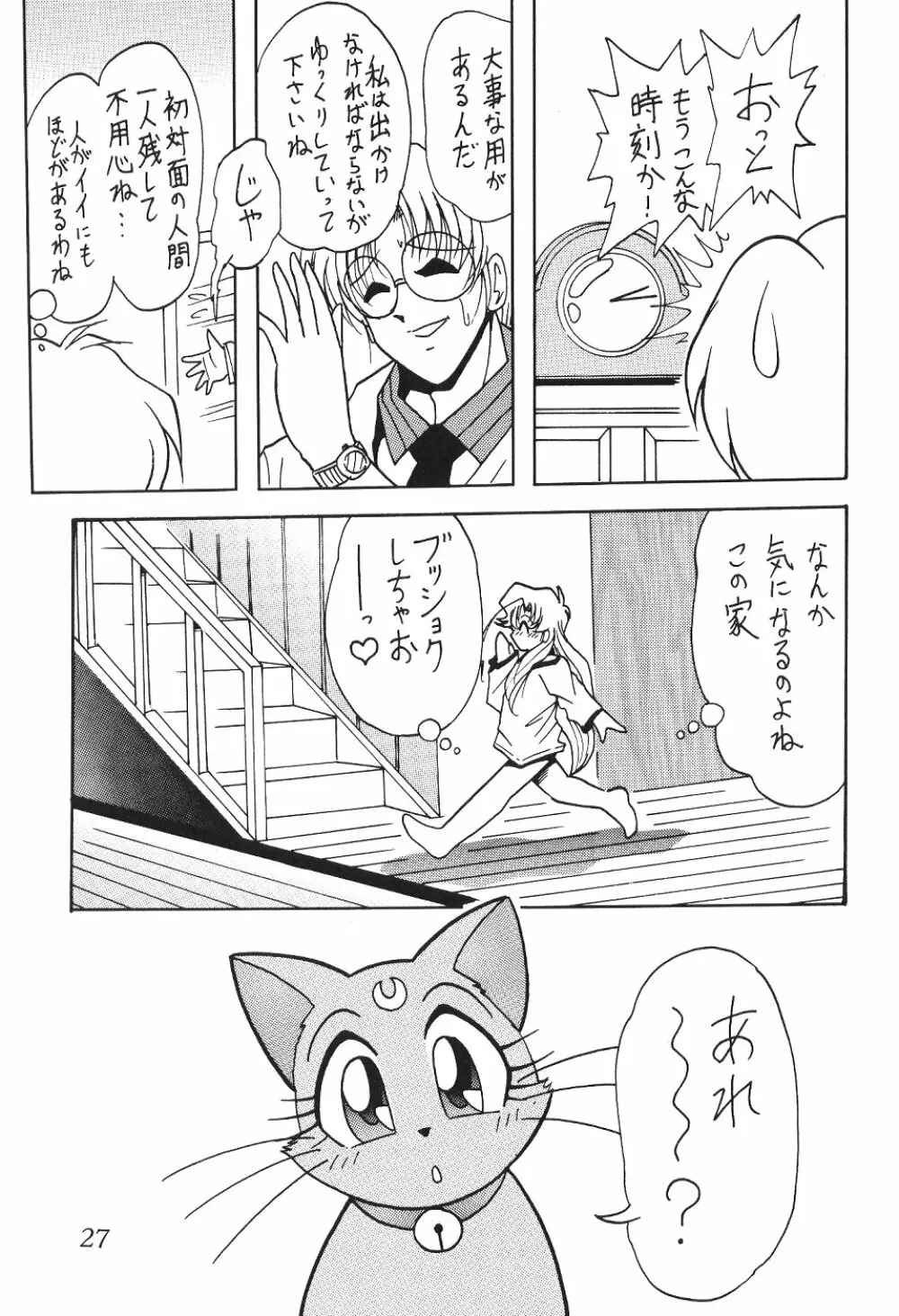サイレント・サターン SS vol.4 - page27