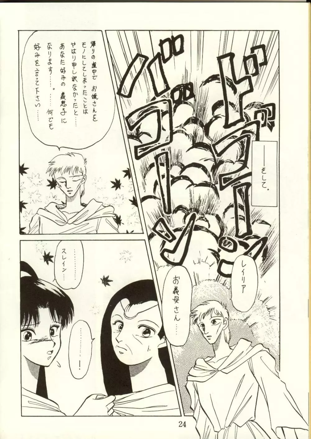 DIEDLIT 2 - page23