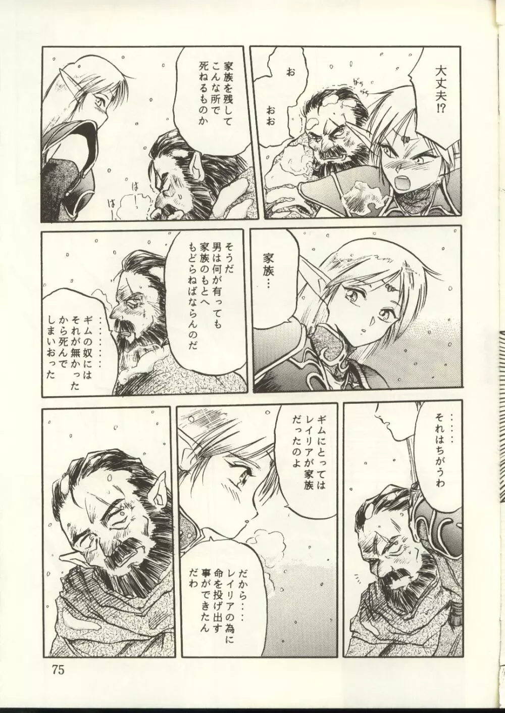 DIEDLIT 2 - page74
