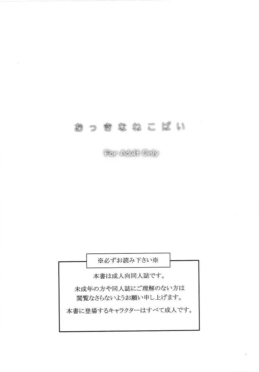 おっきなねこぱい - page2