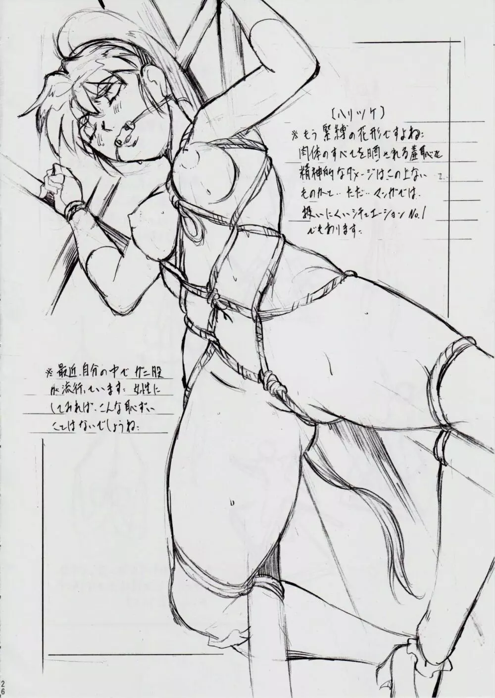 A&M DS～鬼面の者～2 - page27