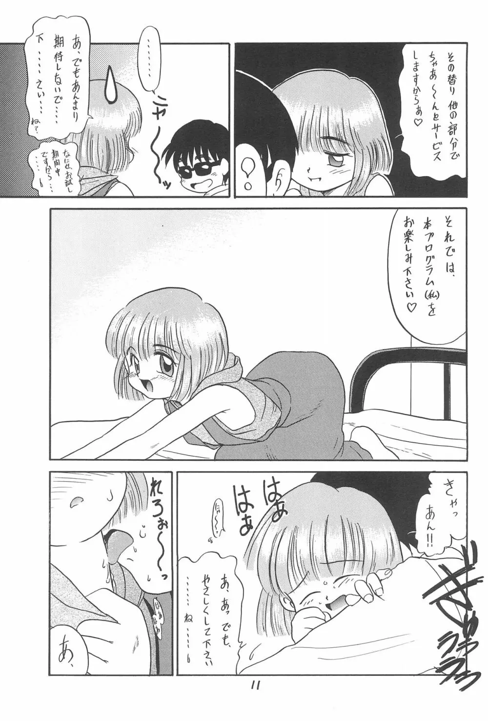 ある意味酷い本 - page11