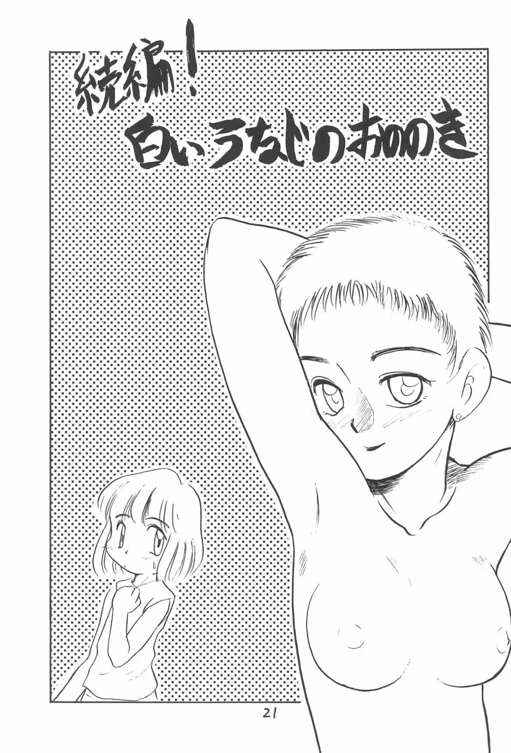 ある意味酷い本 - page21