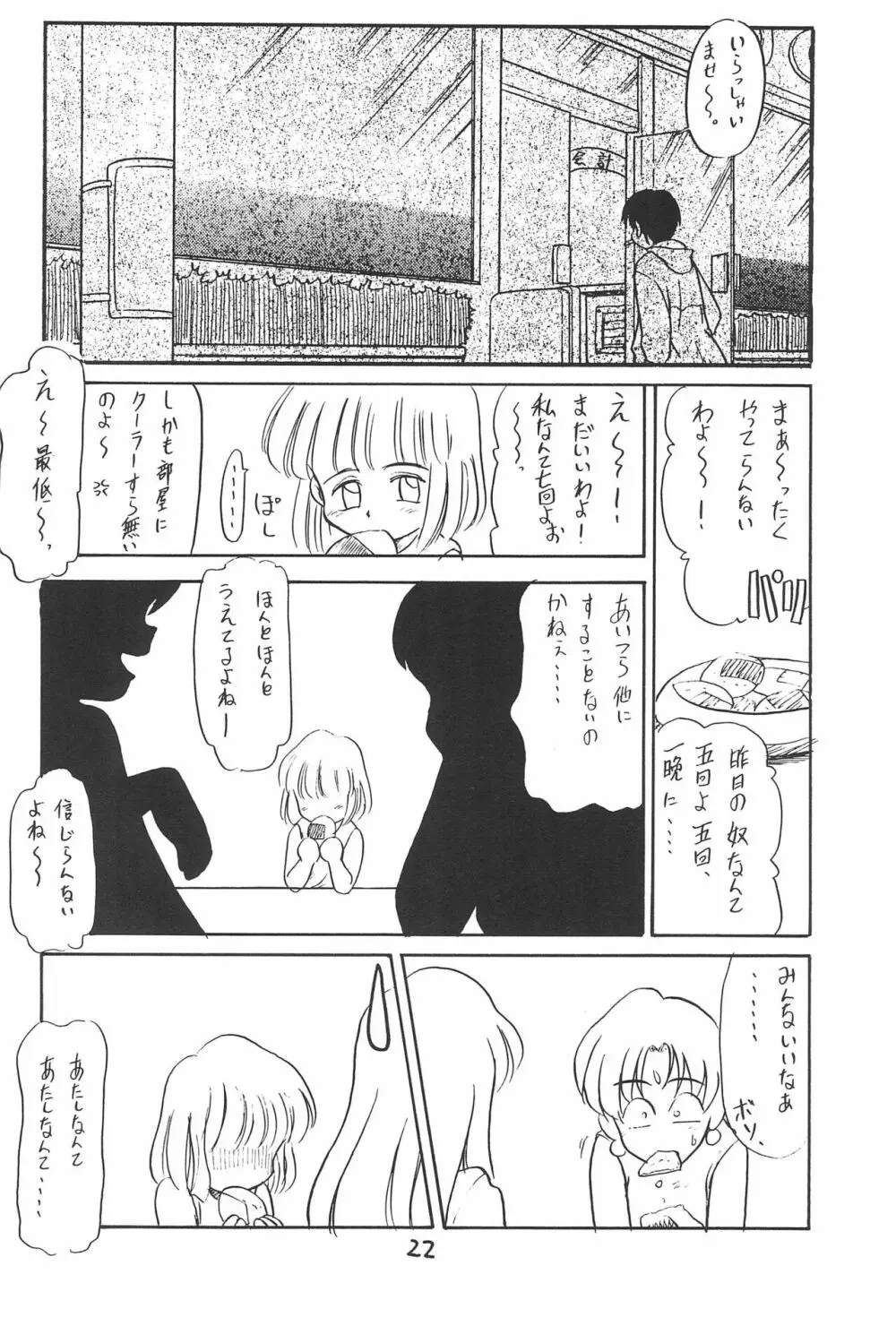 ある意味酷い本 - page22