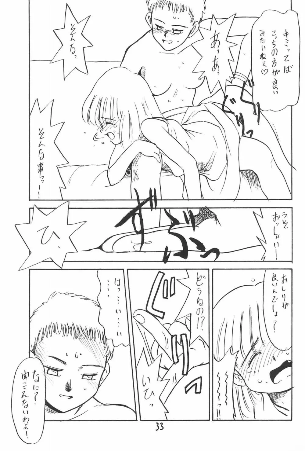 ある意味酷い本 - page33