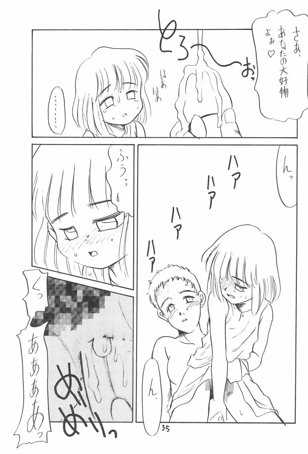ある意味酷い本 - page35