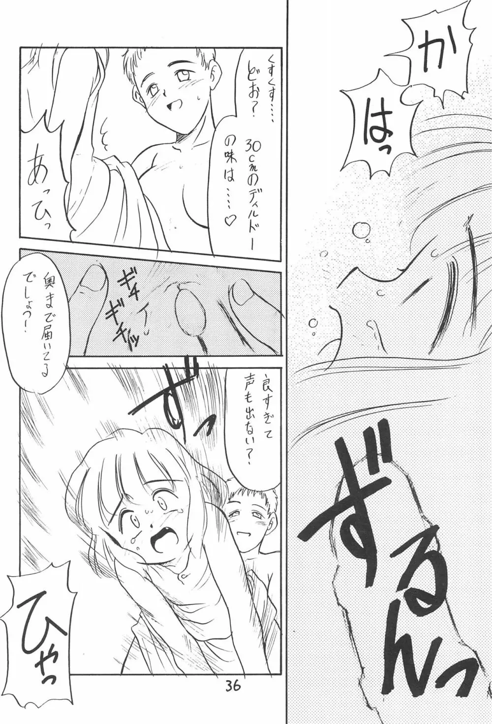 ある意味酷い本 - page36