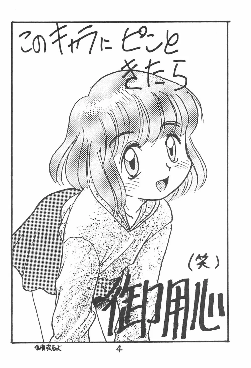 ある意味酷い本 - page4