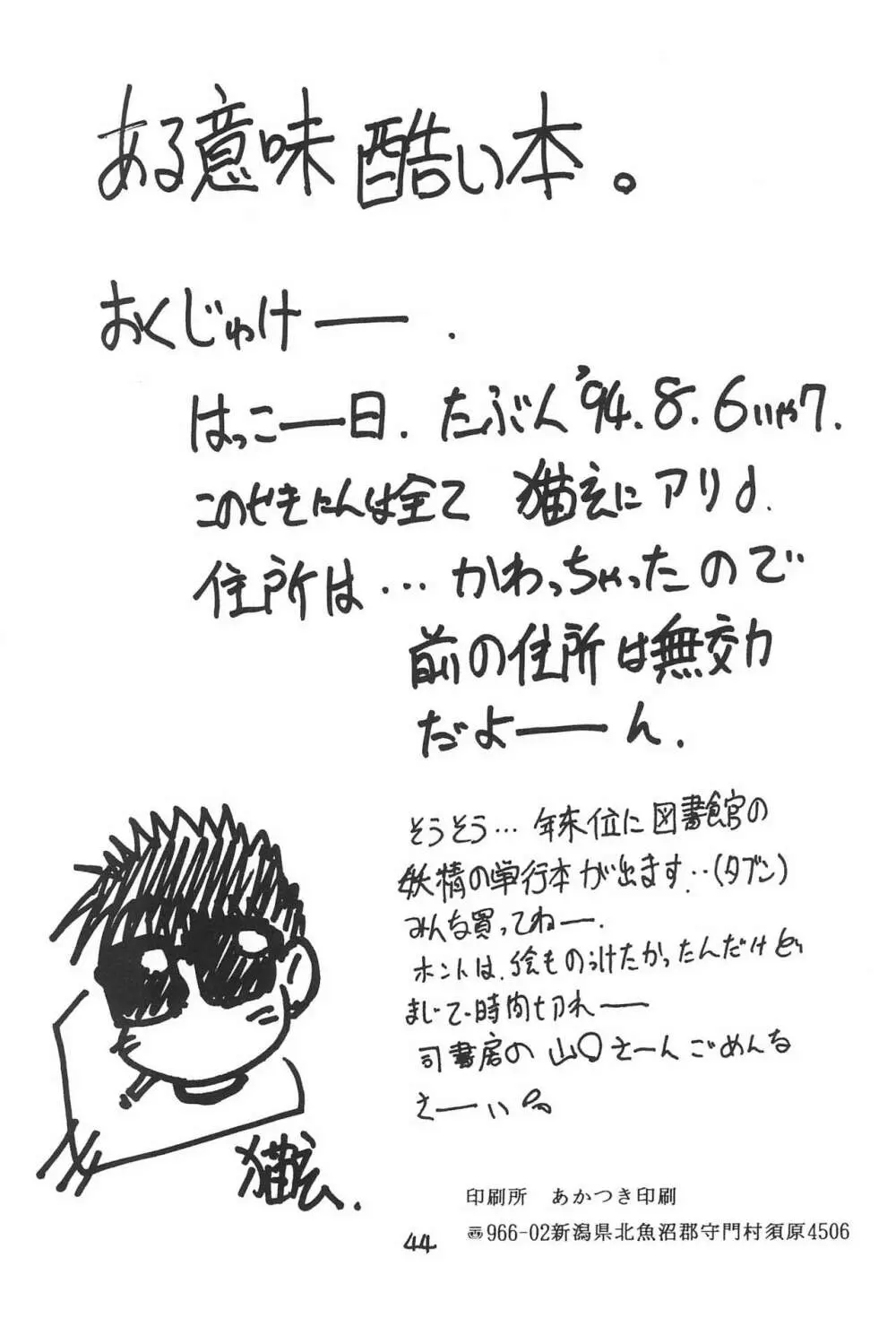ある意味酷い本 - page44