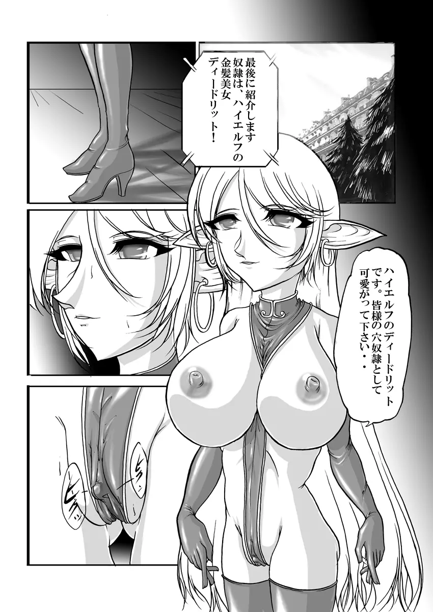 愛奴隷エルフ戦記2 - page26