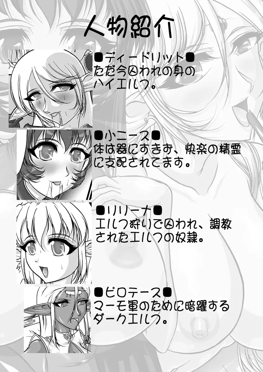 愛奴隷エルフ戦記2 - page3
