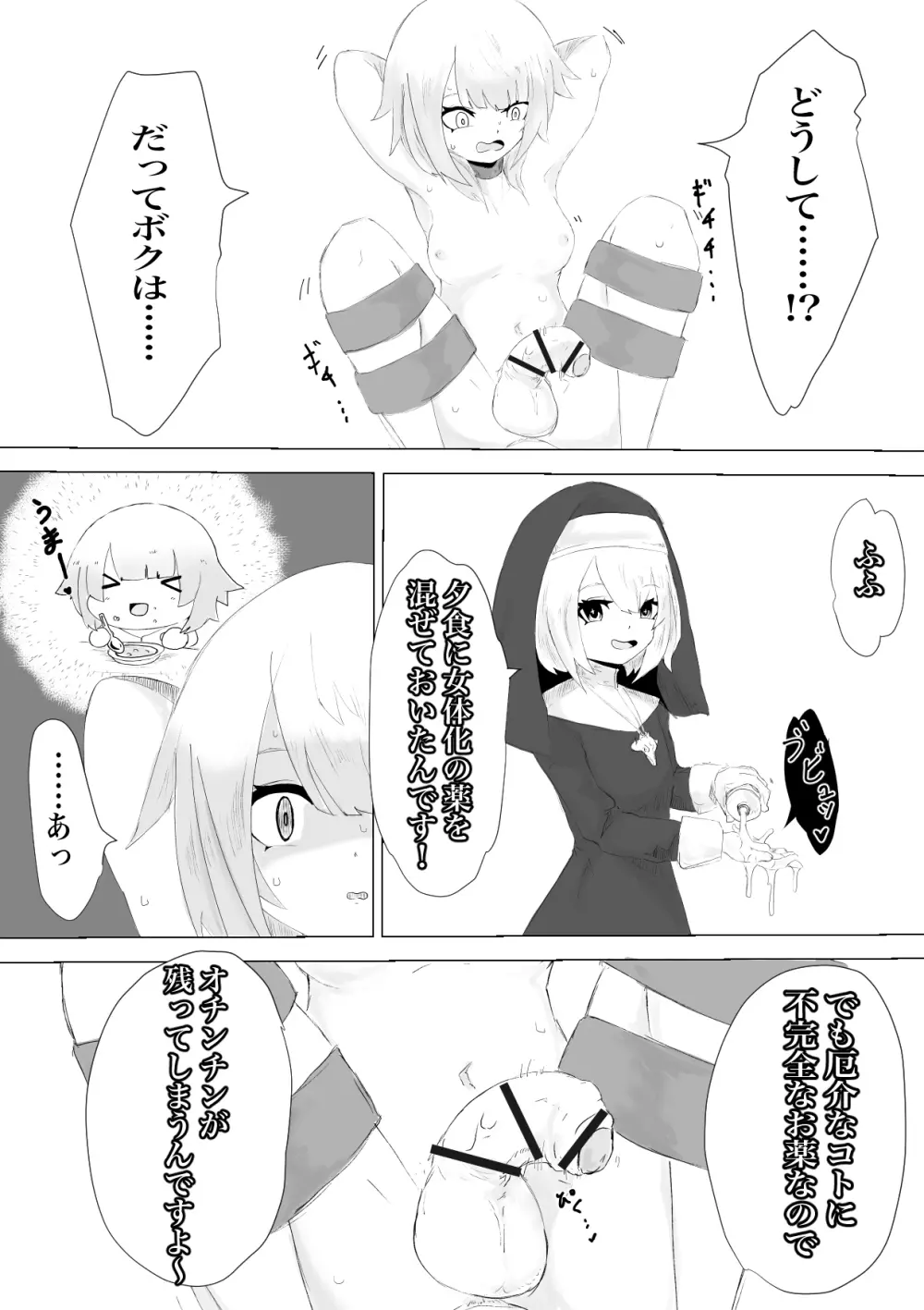邪教シスターに女体化されオチン〇ンを没収されるお話 - page16