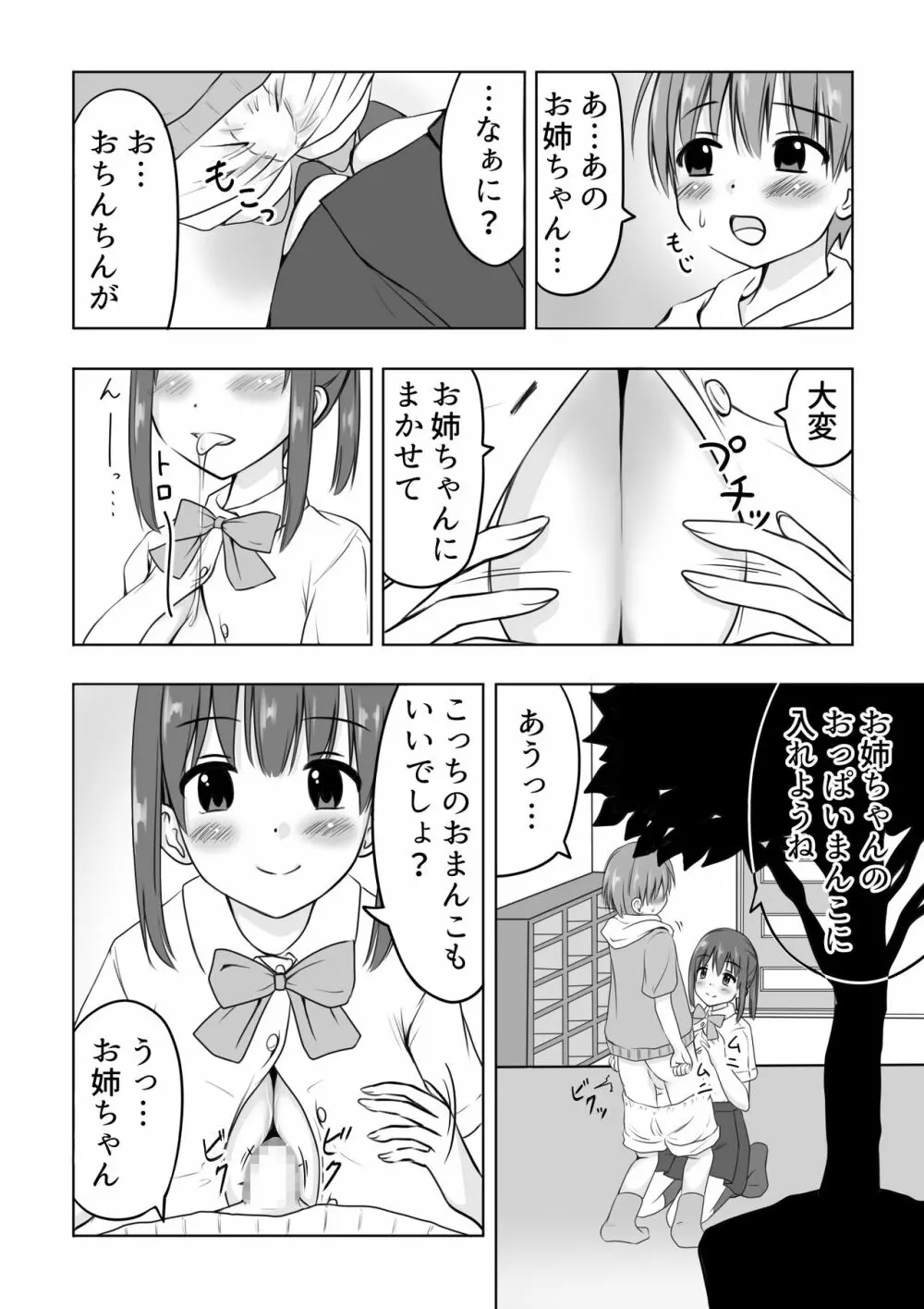 お姉ちゃんに射精したい! - page3