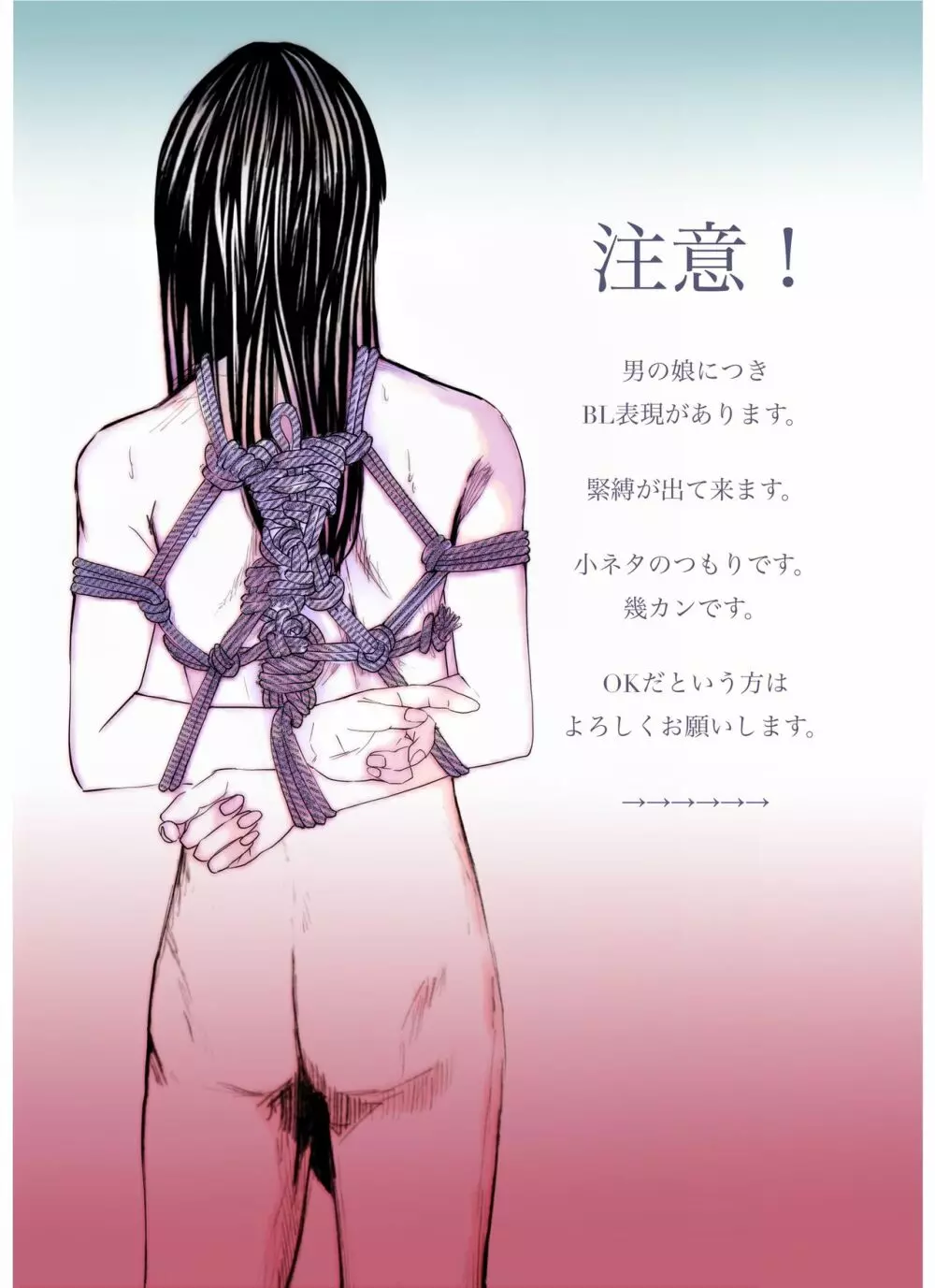 幾カンSS/拳銃の記憶