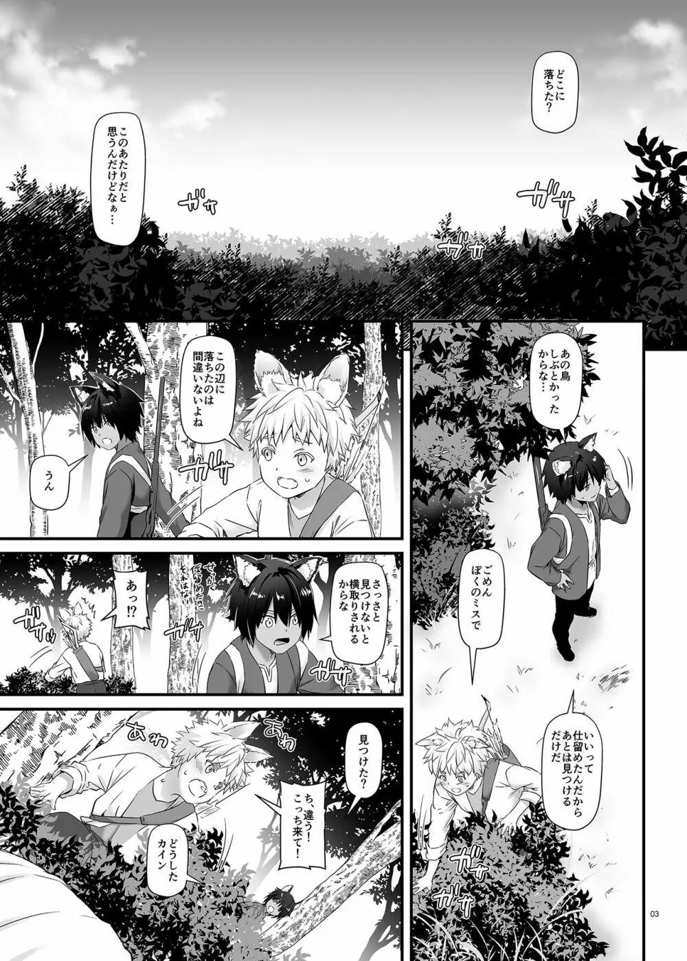 ツガイの仔 DLO-20 - page3