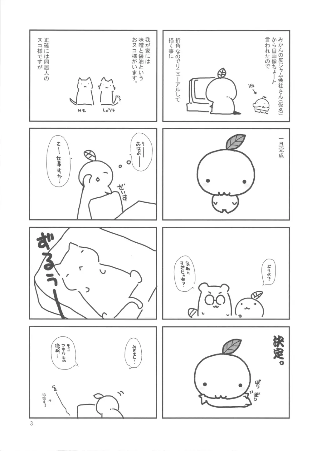 20091231 - page3