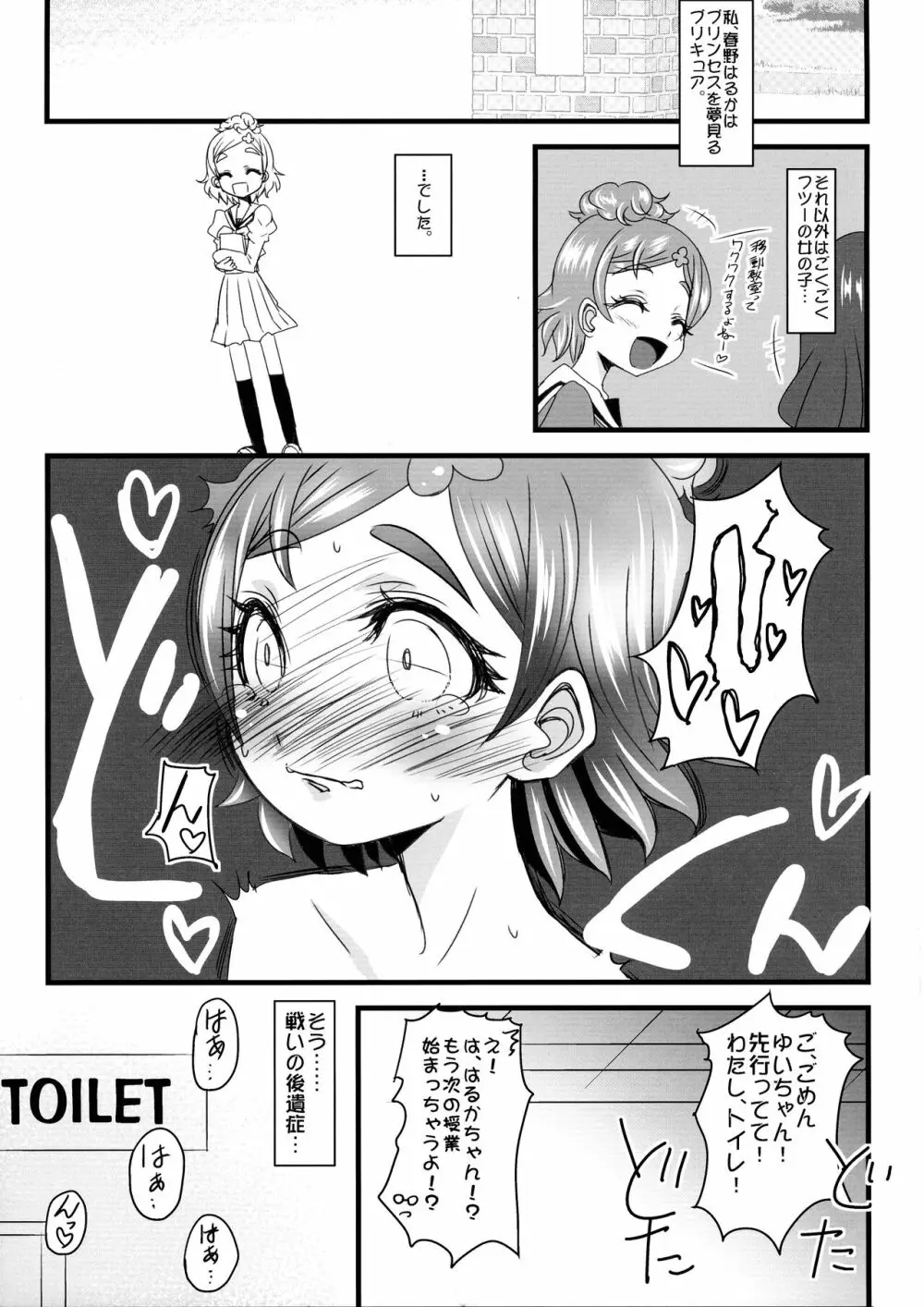 はるはるのハルハル♂が張る張るのでみなみさんときらりんで○○管理する本 - page5