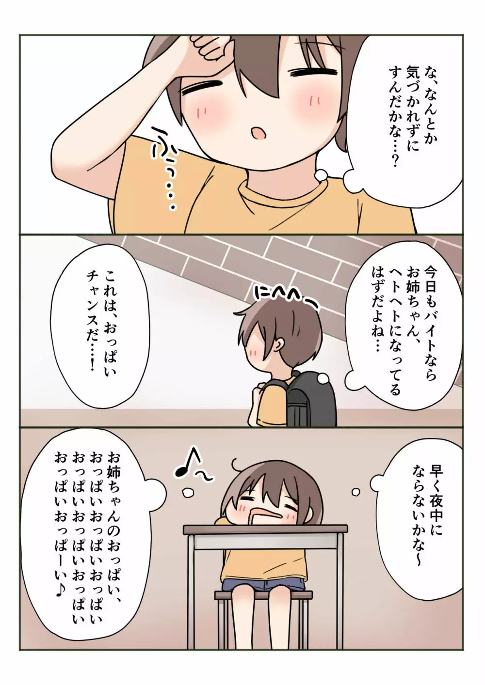 ボクのお姉ちゃんが全然起きないので - page14