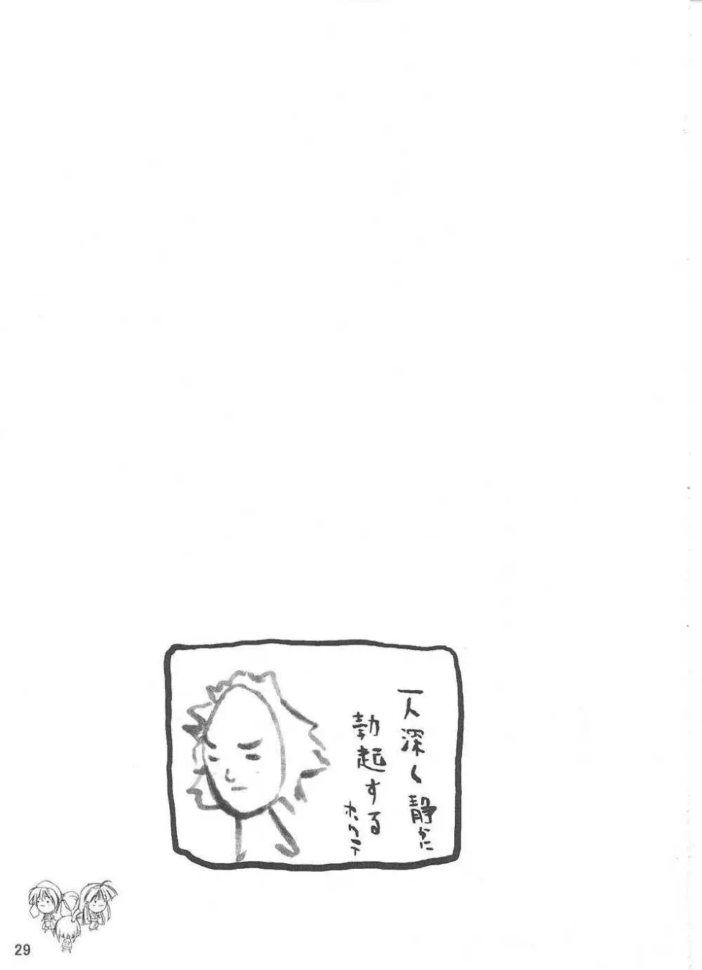 ぴこみこ - page28