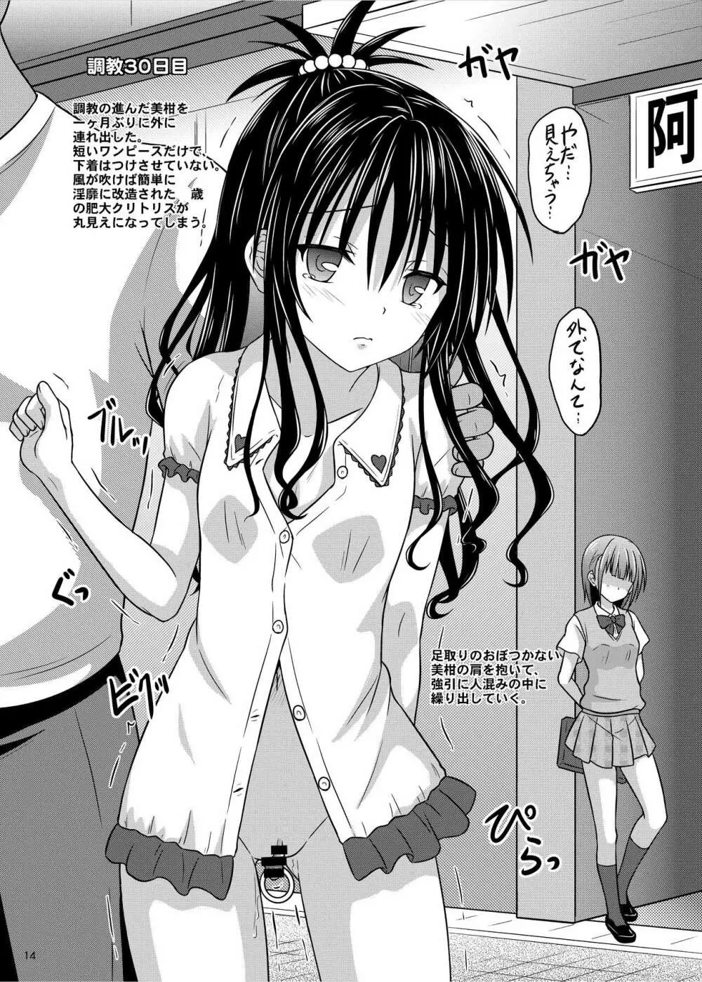 少女調教観察記録 - page14