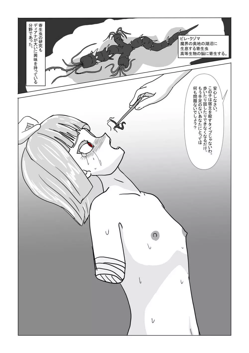 亡国王女の末路 - page11