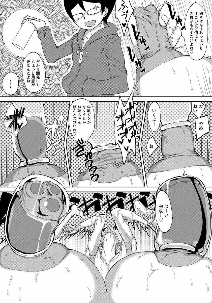 姉ちゃんとボクの公園ヘンタイ遊戯 - page17