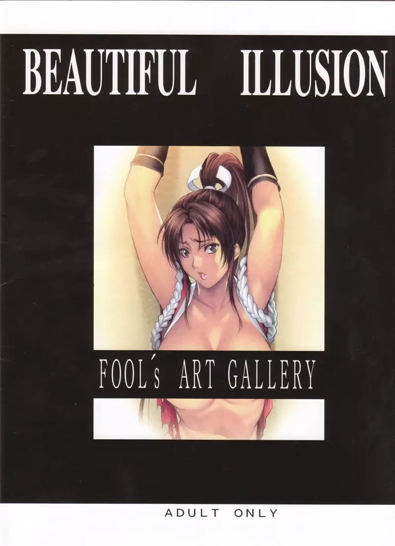 Beautiful Illusion 03 - page2