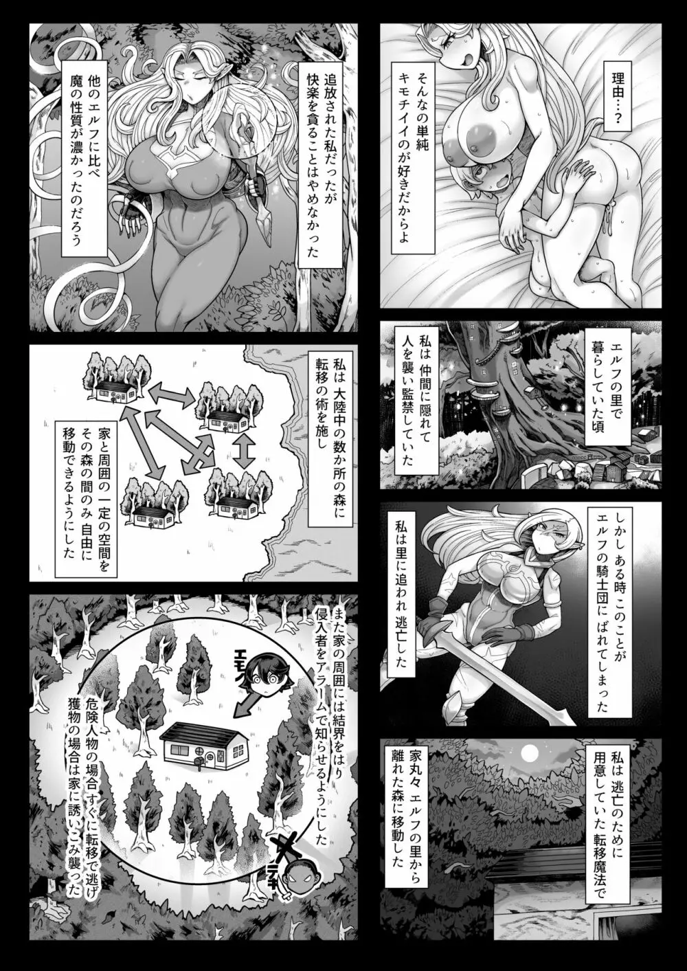 エルフ・オフィーリアの搾精記録 - page16