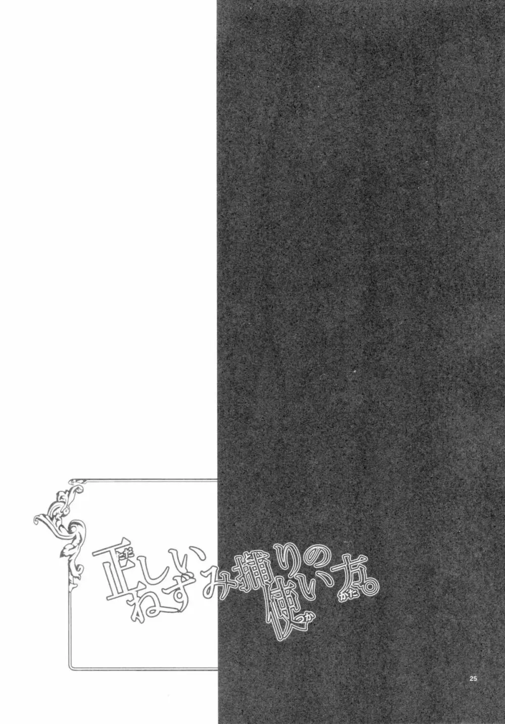 正しいねずみ捕りの使い方。 - page21