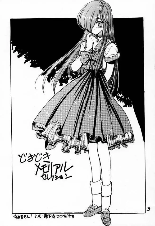 どきどきメモリアル Selection - page2