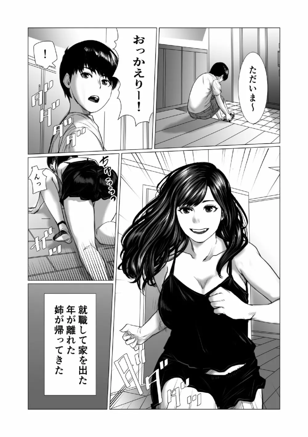 弟のゲーム脳と姉のゲーム性 - page2
