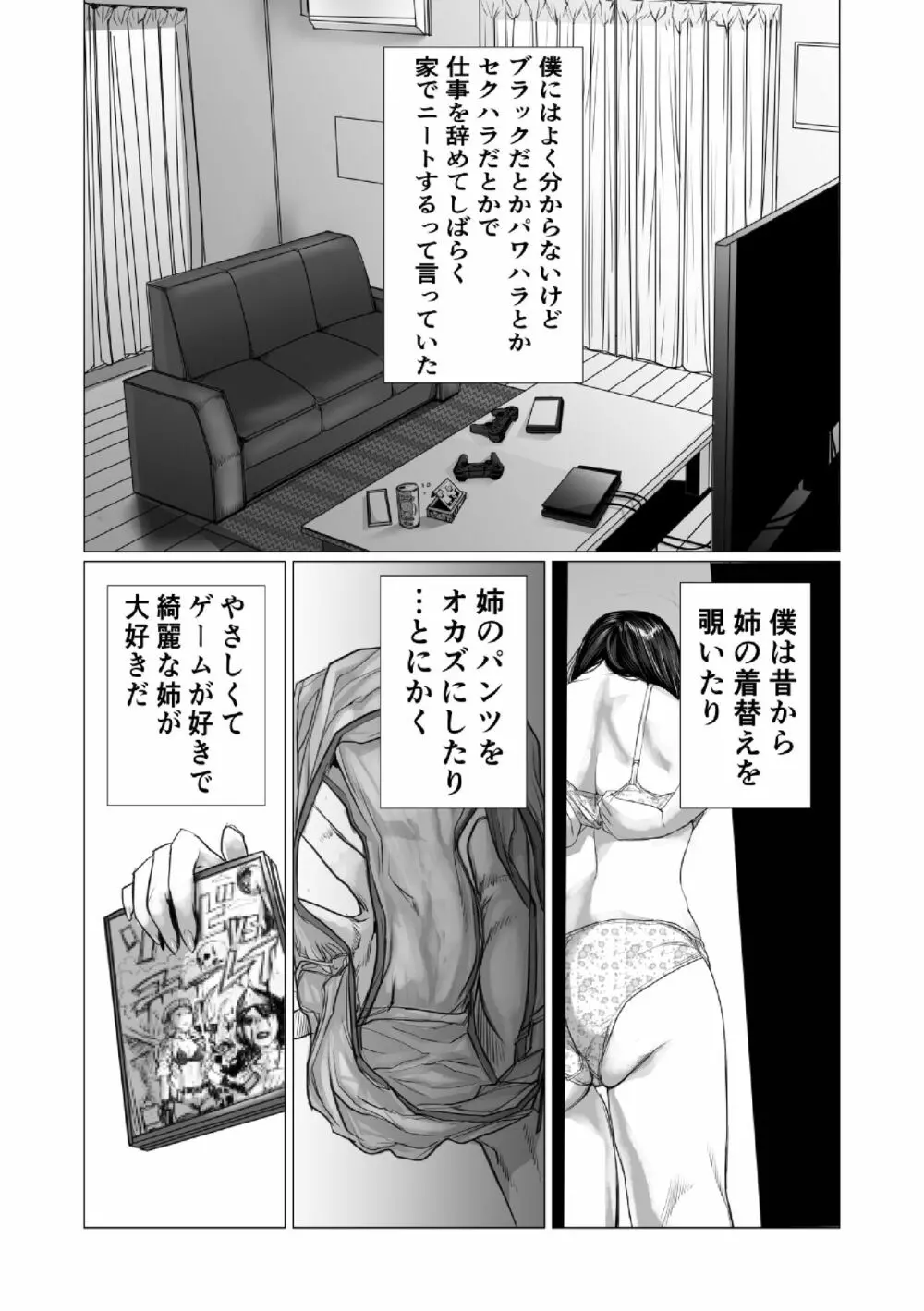 弟のゲーム脳と姉のゲーム性 - page3