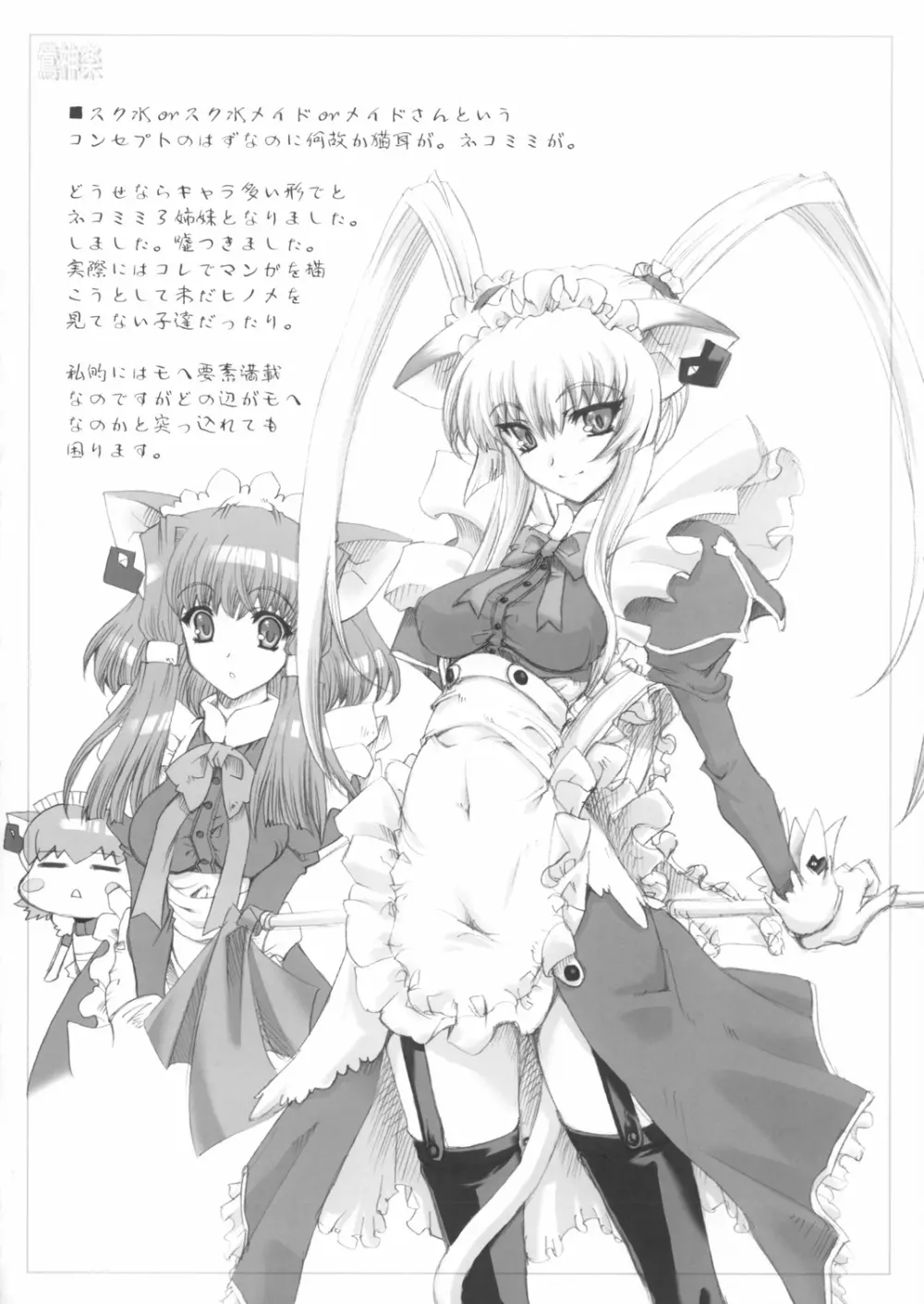 スク水メイド本2003年秋号おしゃれ小鉢は付きません（笑） - page12
