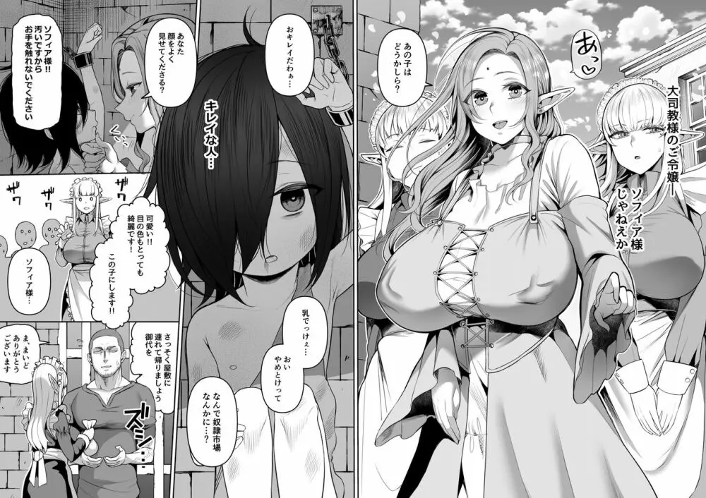 200年もの処女エルフショタを飼う - page4