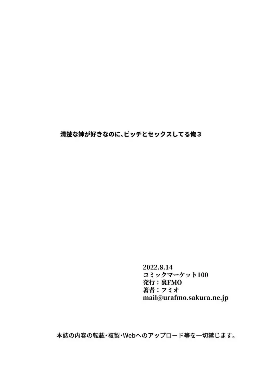 清楚な姉が好きなのに、ビッチとセックスしてる俺3 - page3