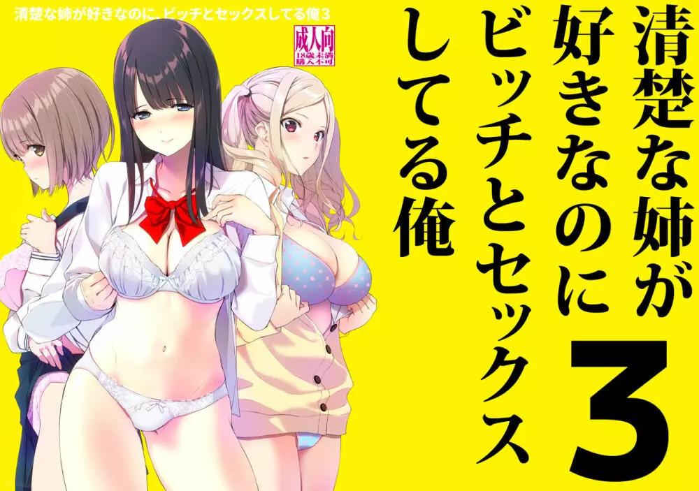 清楚な姉が好きなのに、ビッチとセックスしてる俺3 - page42