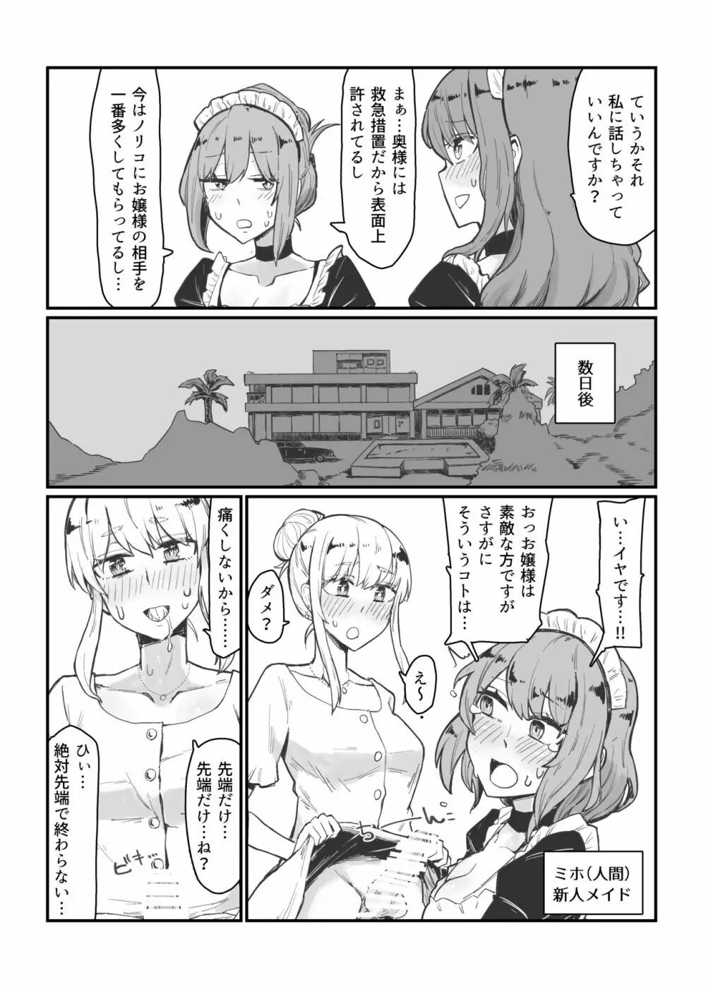 ジェネリックサキュバス 3 射精にドハマリしたお嬢様を触手でしばきたかったサキュバスメイドの本 - page10