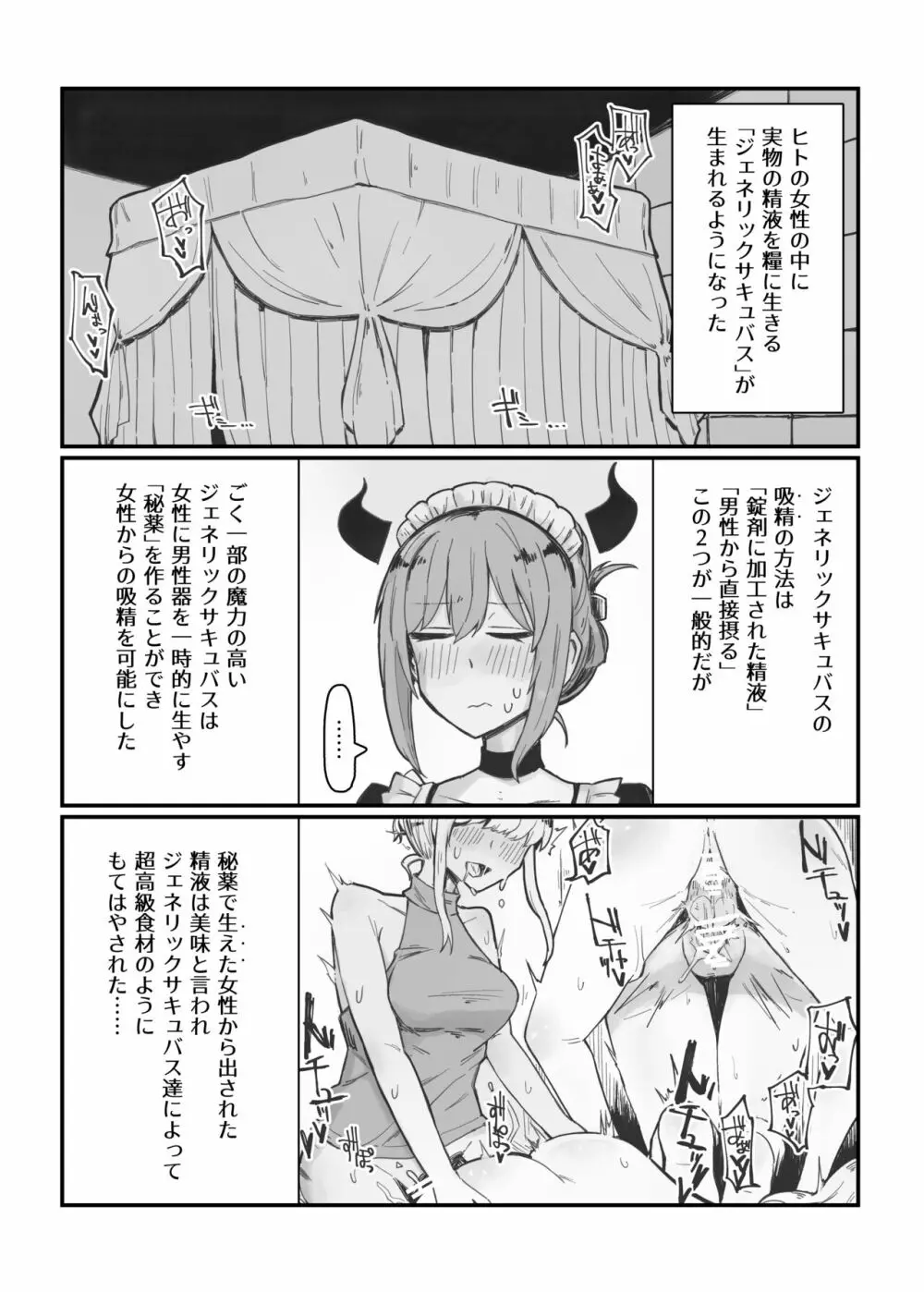 ジェネリックサキュバス 3 射精にドハマリしたお嬢様を触手でしばきたかったサキュバスメイドの本 - page4